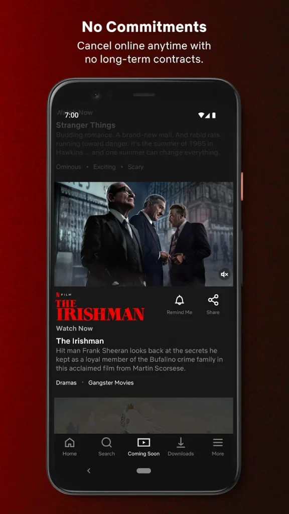 Netflix APK App